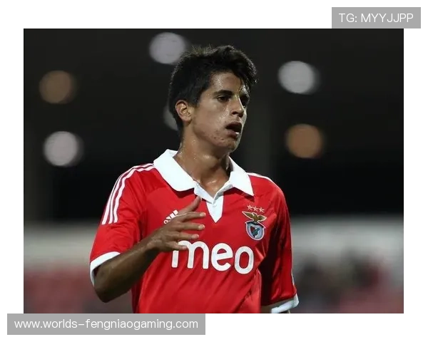 坎塞洛转会加速，利雅得新月愿承担60%以上薪水