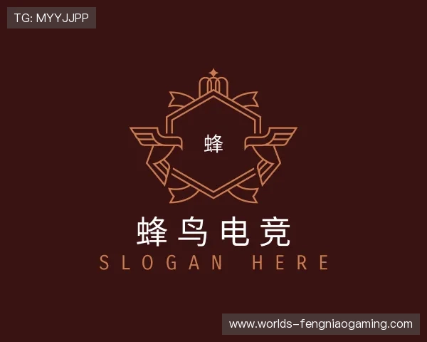 介绍蜂鸟电竞公司