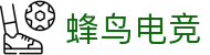 蜂鸟电竞_电竞赛事数据专家_实时赛况_精准数据分析